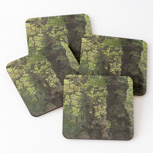 Item preview, Ancient woodland designed and sold by ccullen222.