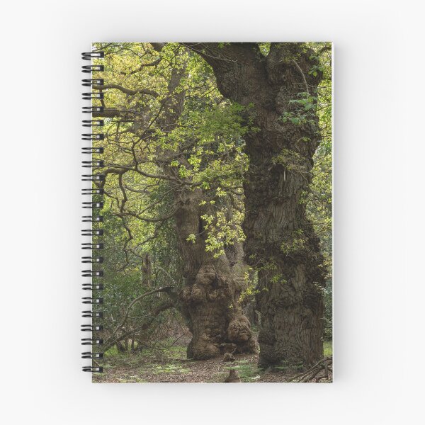 Item preview, Ancient woodland designed and sold by ccullen222.