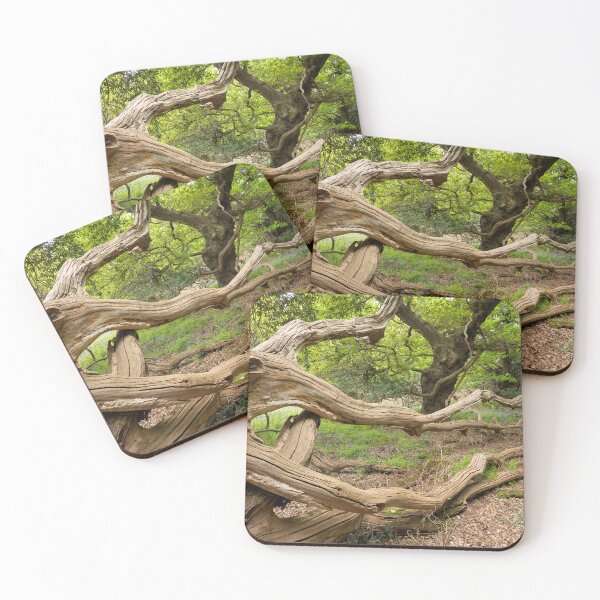 Item preview, Ancient oak woodland designed and sold by ccullen222.