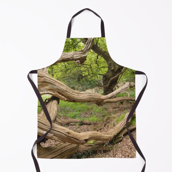 Item preview, Ancient oak woodland designed and sold by ccullen222.