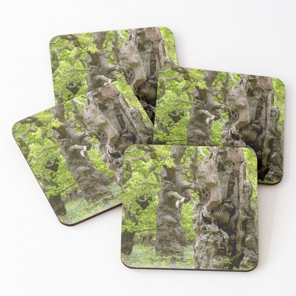 Item preview, Ancient oaks designed and sold by ccullen222.