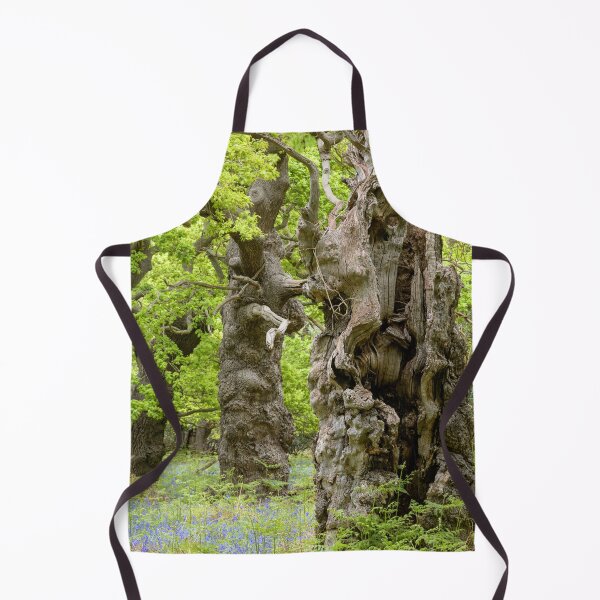 Item preview, Ancient oaks designed and sold by ccullen222.