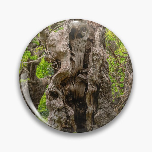 Item preview, Ancient Oaks designed and sold by ccullen222.