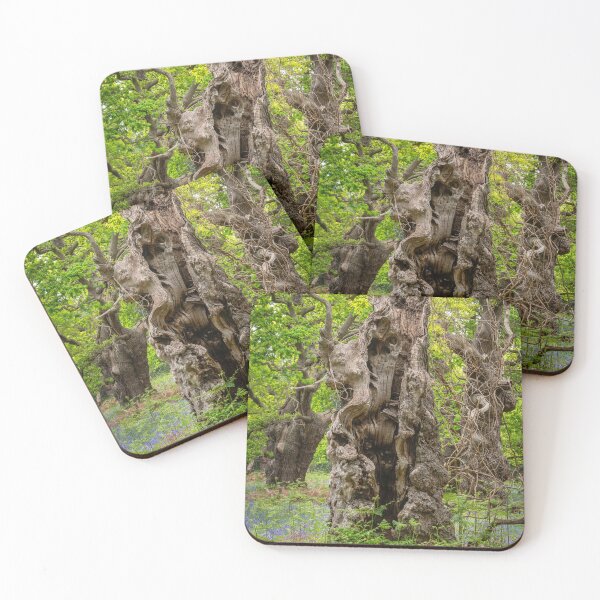 Item preview, Ancient Oaks designed and sold by ccullen222.
