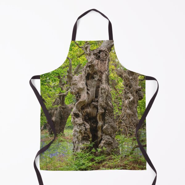 Item preview, Ancient Oaks designed and sold by ccullen222.