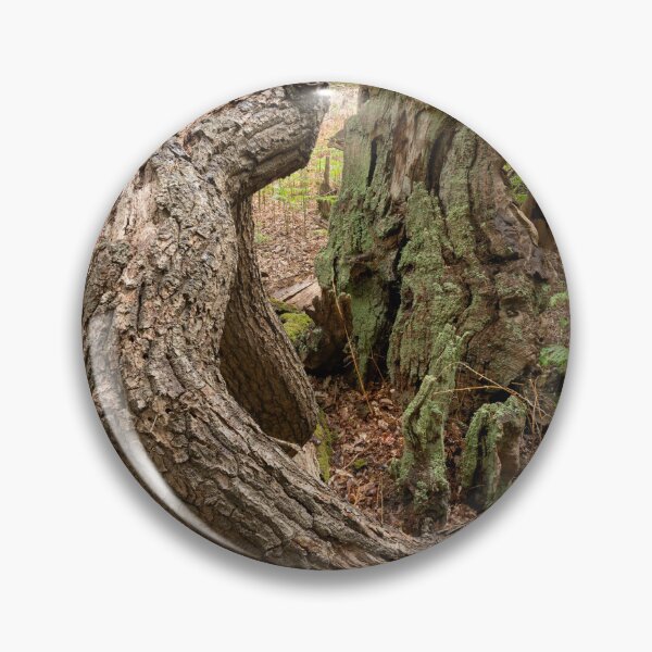 Item preview, Ancient woodland designed and sold by ccullen222.