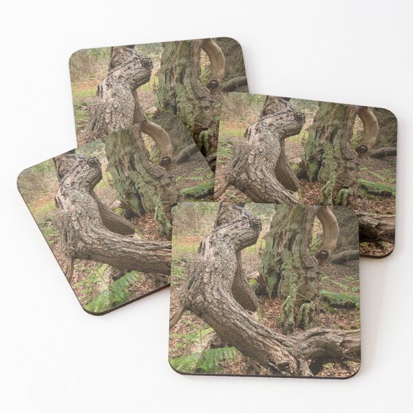 Item preview, Ancient woodland designed and sold by ccullen222.