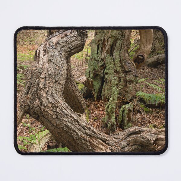 Item preview, Ancient woodland designed and sold by ccullen222.