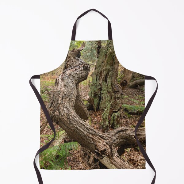 Item preview, Ancient woodland designed and sold by ccullen222.