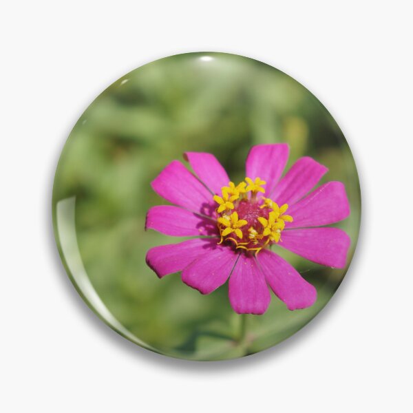 Item preview, purple zinnia flowers in thailand designed and sold by March Rider.