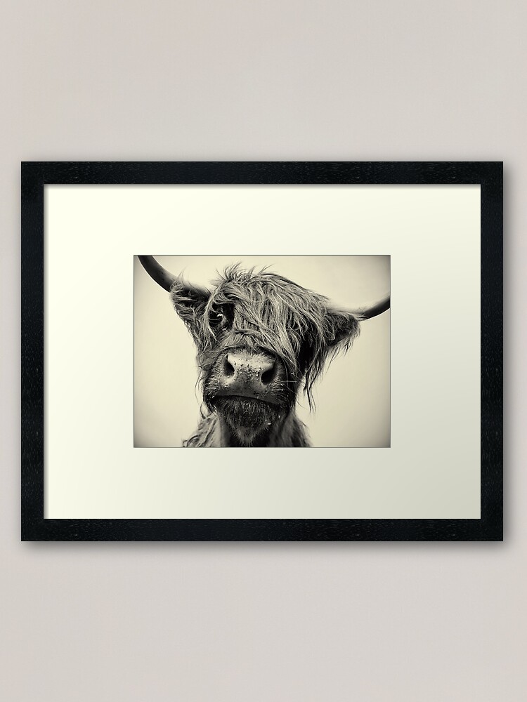 Alternate view of Highland Cow Framed Art Print