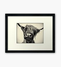 Highland Cow Framed Print