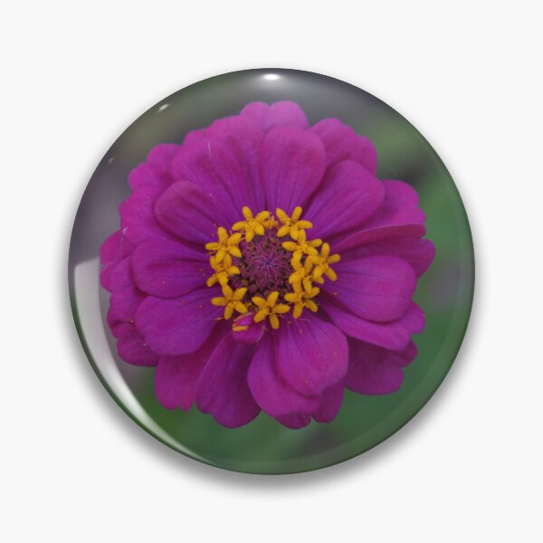 Item preview, dark purple zinnia flowers in thailand designed and sold by March Rider.