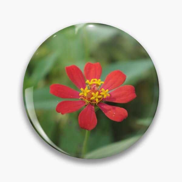 Item preview, Red zinnia flowers in Thailand designed and sold by March Rider.