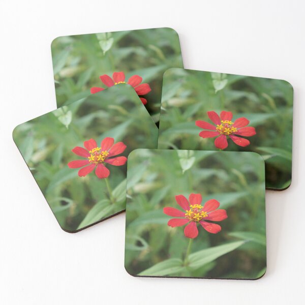 Item preview, Red zinnia flowers in Thailand designed and sold by March Rider.