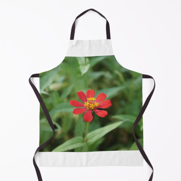 Item preview, Red zinnia flowers in Thailand designed and sold by March Rider.