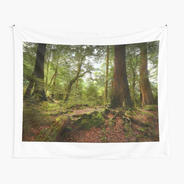 Red Beech forest, New Zealand Tapestry