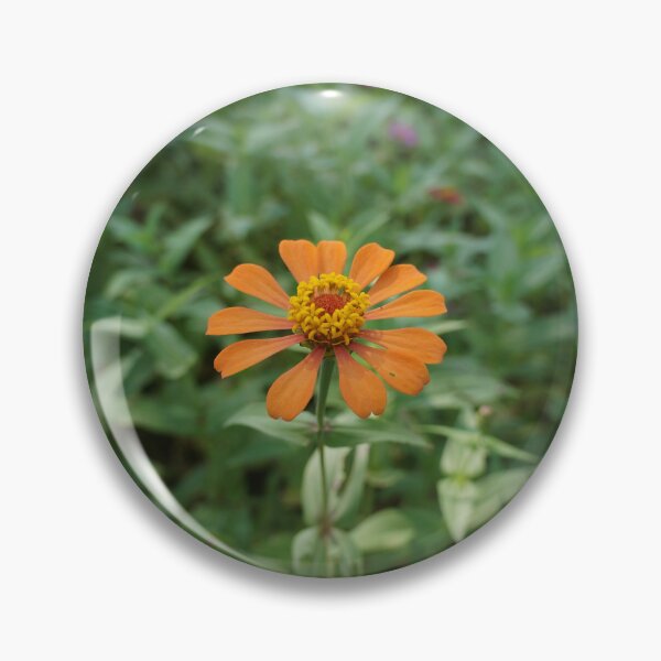 Item preview, Orange zinnia flowers in Thailand designed and sold by March Rider.