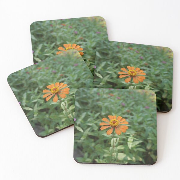 Item preview, Orange zinnia flowers in Thailand designed and sold by March Rider.