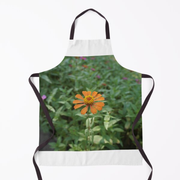 Item preview, Orange zinnia flowers in Thailand designed and sold by March Rider.