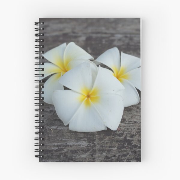 Item preview, 3 frangipani flowers designed and sold by March Rider.