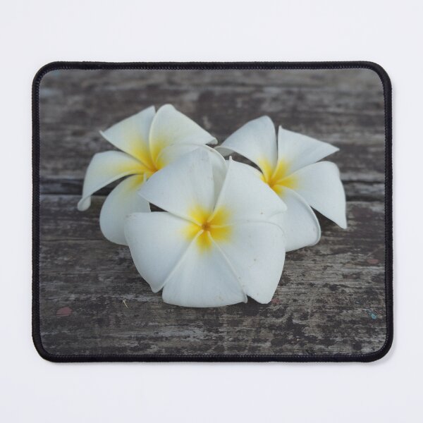 Item preview, 3 frangipani flowers designed and sold by March Rider.