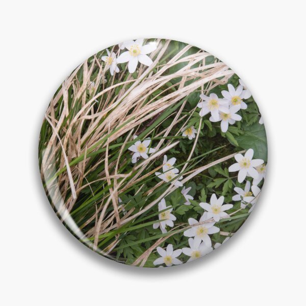 Artikelvorschau, Anemone entworfen und verkauft von ccullen222.