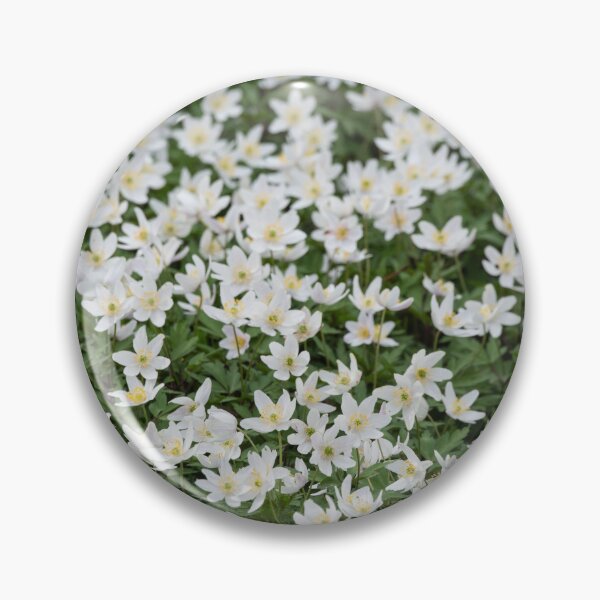 Artikelvorschau, Anemones entworfen und verkauft von ccullen222.
