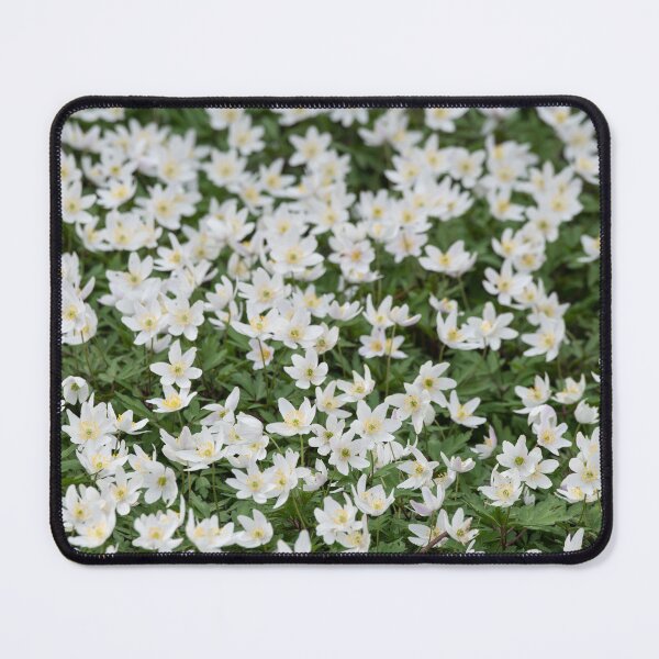 Item preview, Anemones designed and sold by ccullen222.