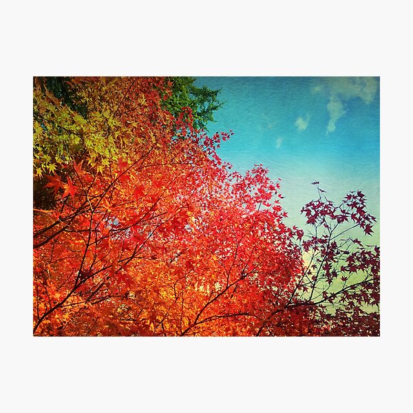 Item preview, Vivid Autumn Maple Leaves Painterly Textures designed and sold by Beverly Claire Kaiya.