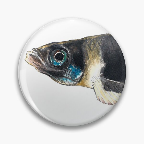 Item preview, Clown Killifish tropical fish designed and sold by clorofila.