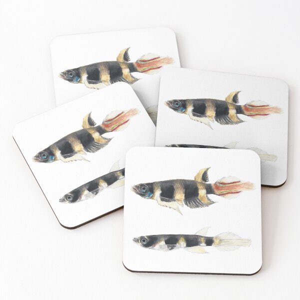 Item preview, Clown Killifish tropical fish designed and sold by clorofila.