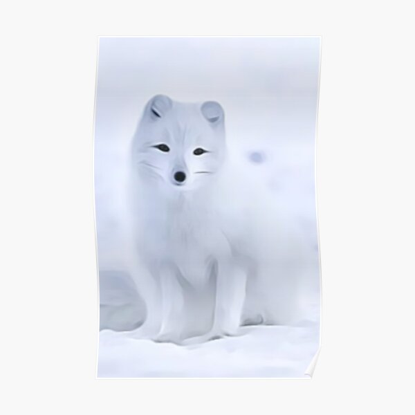 WHITE FOX IN ICE 3707 Animal Poster Picture Poster Print Art A0 A1 A2 A3 A4 