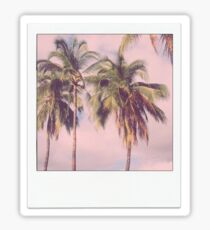 Palme Polaroid Sticker