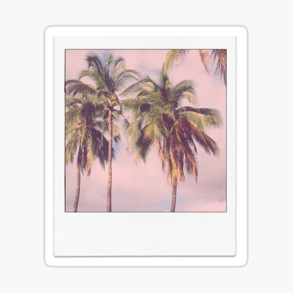 Palm Tree Polaroid Sticker