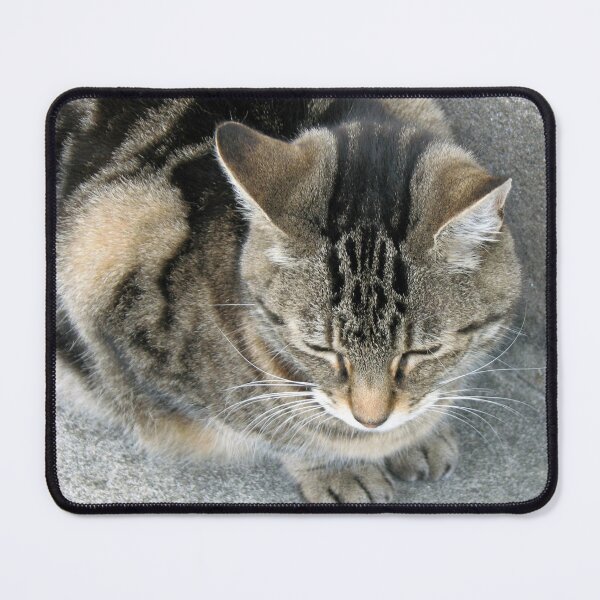 Item preview, Won't you, please, let me in? designed and sold by BlueMoonRose.