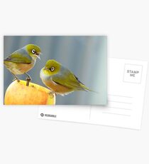 Hey You.. I Am Definitely Not Sharing!! - Silver-Eye - NZ Postcards