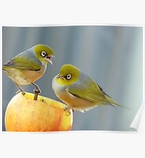 Hey You.. I Am Definitely Not Sharing!! - Silver-Eye - NZ Poster