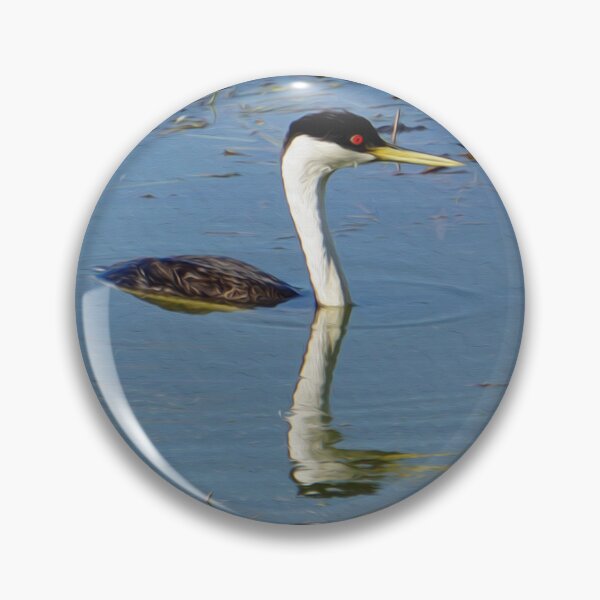 Item preview, Western Grebe - Water Bird designed and sold by NaturePrints.
