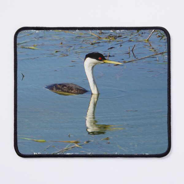 Item preview, Western Grebe - Water Bird designed and sold by NaturePrints.