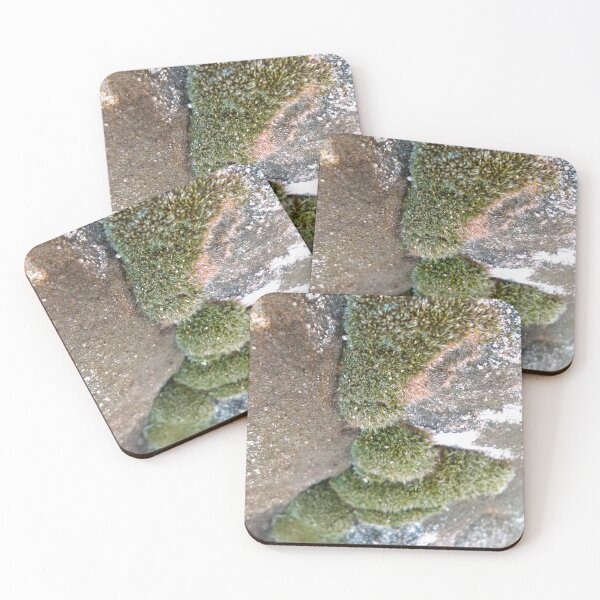 Item preview, Moss on rock  designed and sold by Zen's art shop.