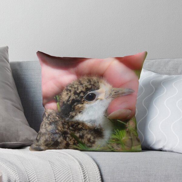 Item preview, I'm Not Fully Masked Yet... Baby Plover - NZ designed and sold by AndreaEL.