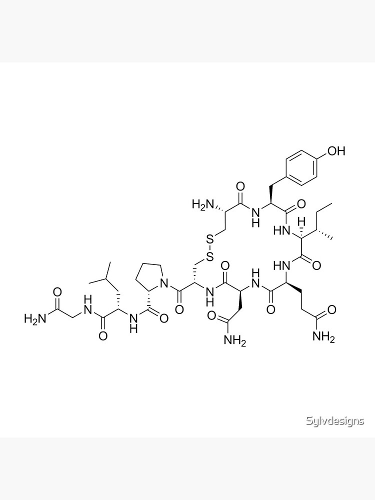 Oxytocin Molecular Structure by Sylvdesigns