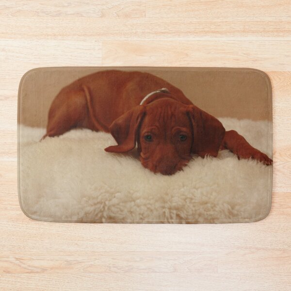 Item preview, Hungarian Vizsla puppy  https://edinburghartist.gallery designed and sold by Tracey Pacitti.