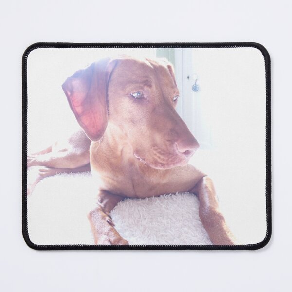 Item preview, Hungarian Vizsla designed and sold by Tracey Pacitti.