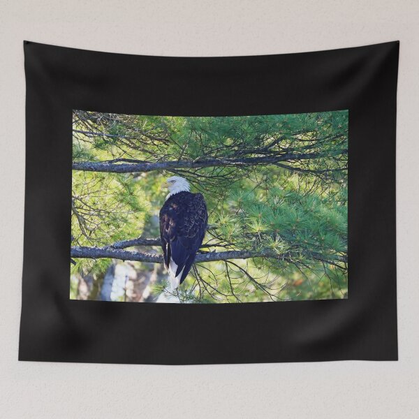 Item preview, Eagle Aware Of Approach designed and sold by Deb Oppermann.