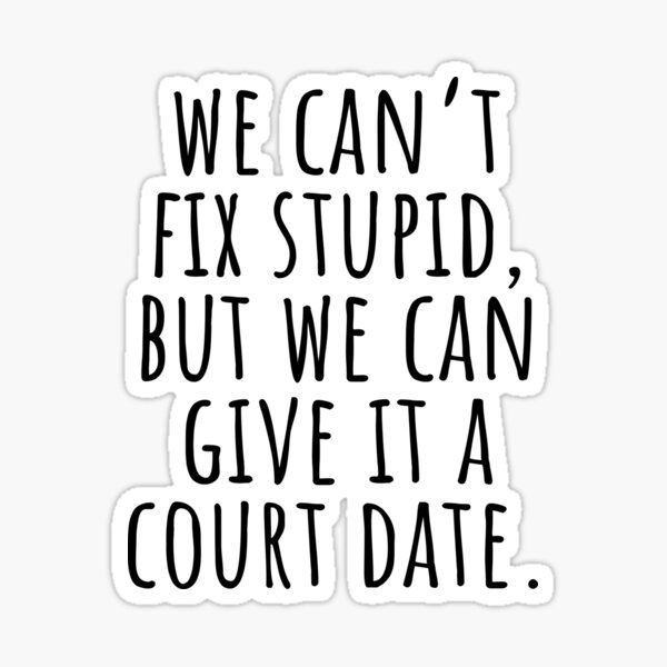 quot We can t fix stupid but we can give it a court date Lawyer