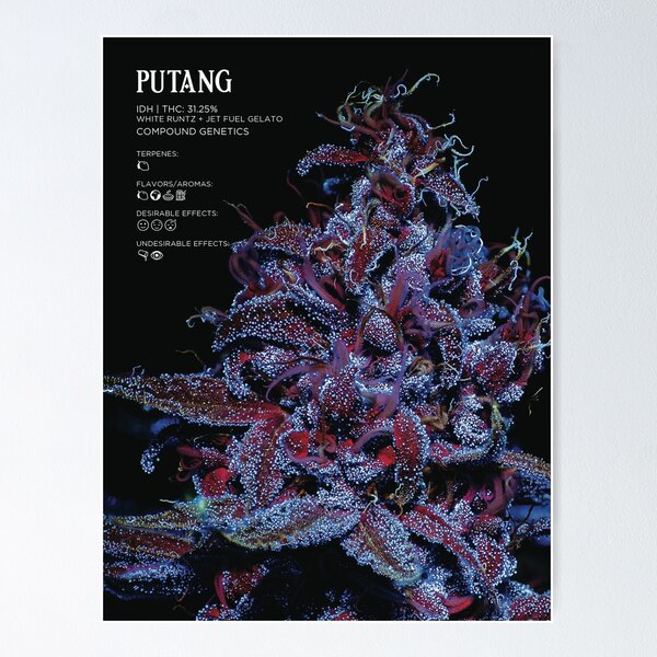 Putang Poster