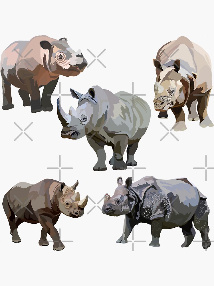 "Mixed Rhino" Sticker for Sale by thezoogirl | Redbubble