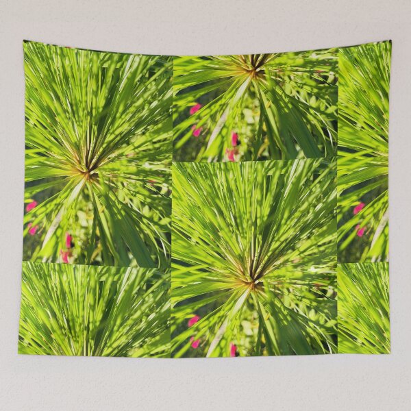 Artikelvorschau, Cyperus Papyrus (Papierschilf) entworfen und verkauft von CarynKeller.